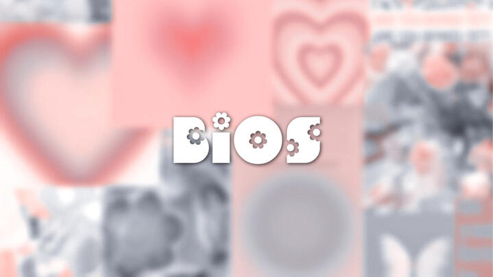bios